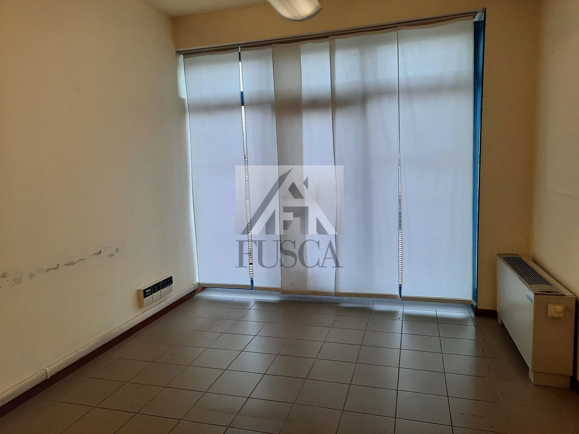 Immagine per Area verde in affitto a Lucca