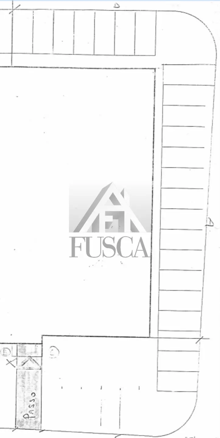 Immagine per Area verde in affitto a Lucca