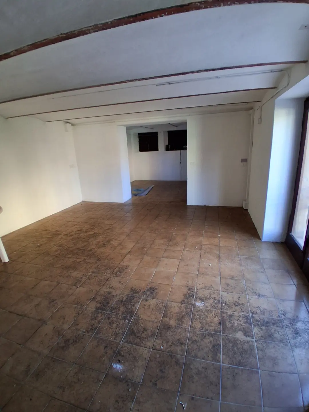 Immagine per Area verde in affitto a Lucca