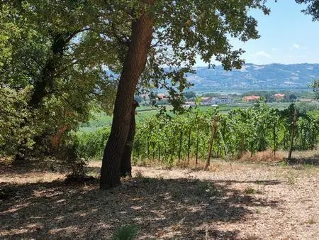 Terreno Santa Maria Imbaro