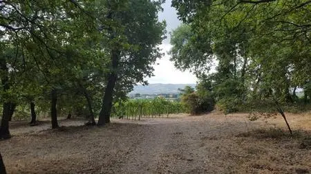 Terreno Santa Maria Imbaro