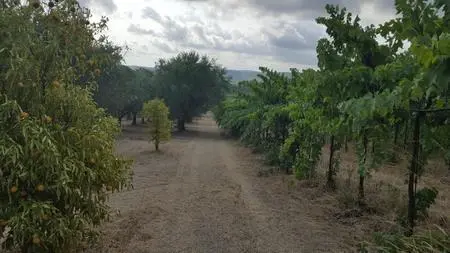 Terreno Santa Maria Imbaro