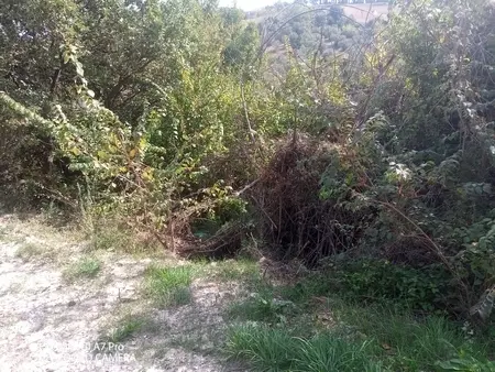 Porzione Di Casa Paglieta