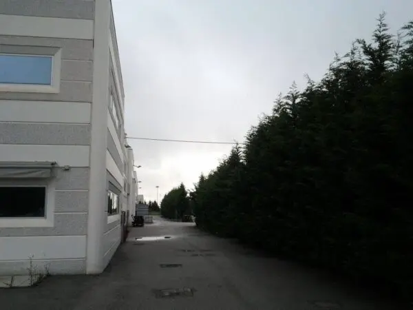Capannone Industriale via Delle Scienze 20 f, Occhiobello