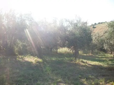 Uliveto Lanciano
