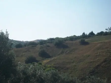 Uliveto Lanciano