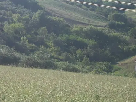 Uliveto Lanciano