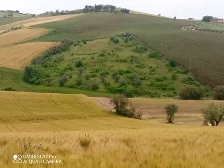 Terreno Castel Frentano