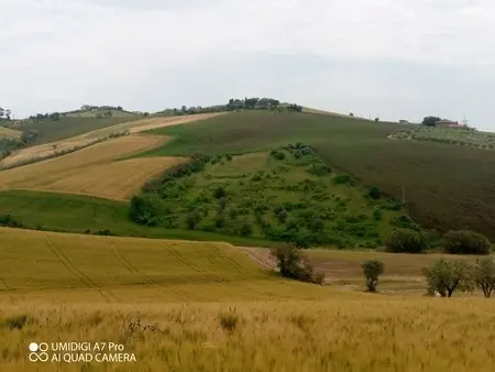 Terreno Castel Frentano