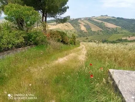 Terreno Castel Frentano