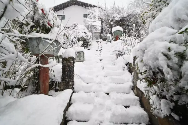 Casa Indipendente via Località Pineta, San Michele All'Adige