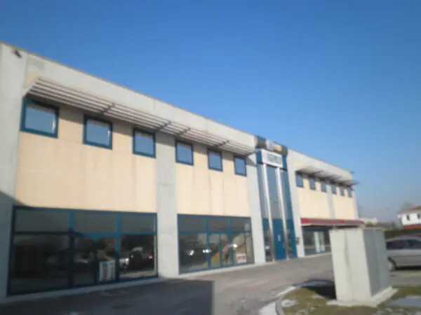 Immagine per Laboratorio in vendita a Tribano viale Spagna 2