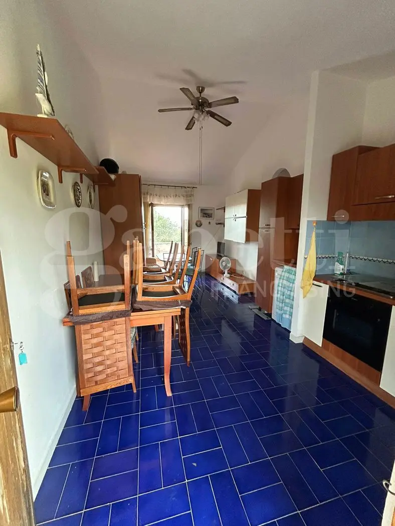 Immagine per Appartamento in vendita a San Nicola Arcella via Contrada Dino 1