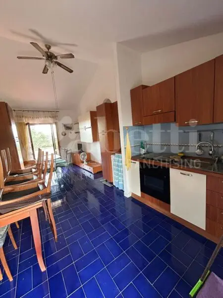 Appartamento via Contrada Dino 1, San Nicola Arcella