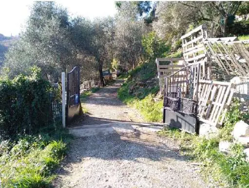 Casa Indipendente 1, Camogli
