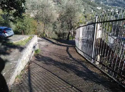 Casa Indipendente 1, Camogli