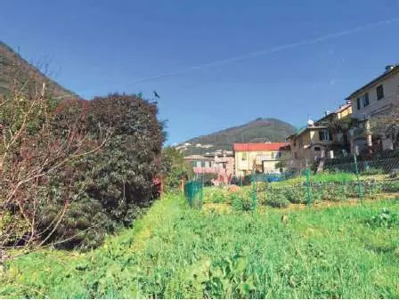 Terreno Agricolo via Di San Rocco 70, Recco