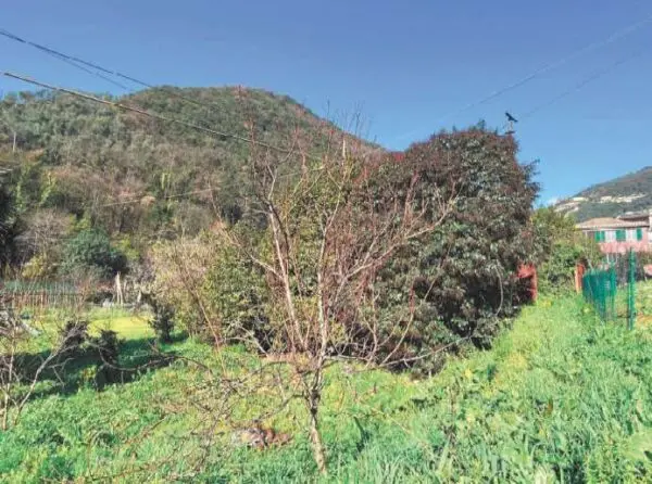 Terreno Agricolo via Di San Rocco 70, Recco