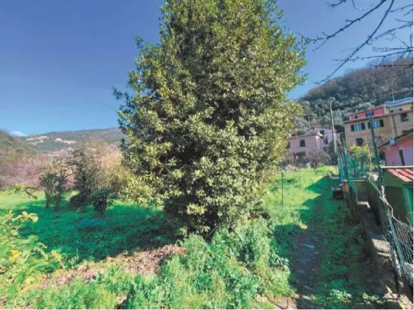Terreno Agricolo via Di San Rocco 70, Recco