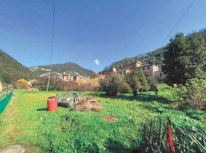 Immagine per Terreno agricolo in asta a Recco via Di San Rocco 70