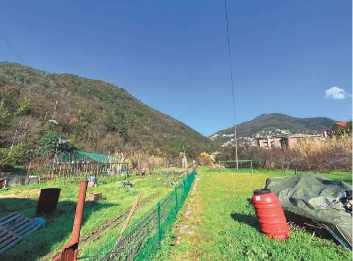 Immagine per Terreno agricolo in asta a Recco via Di San Rocco 70