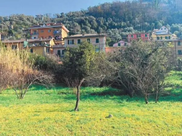 Terreno Agricolo via Di San Rocco 70, Recco