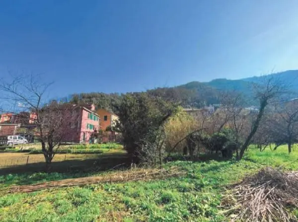 Terreno Agricolo via Di San Rocco 70, Recco
