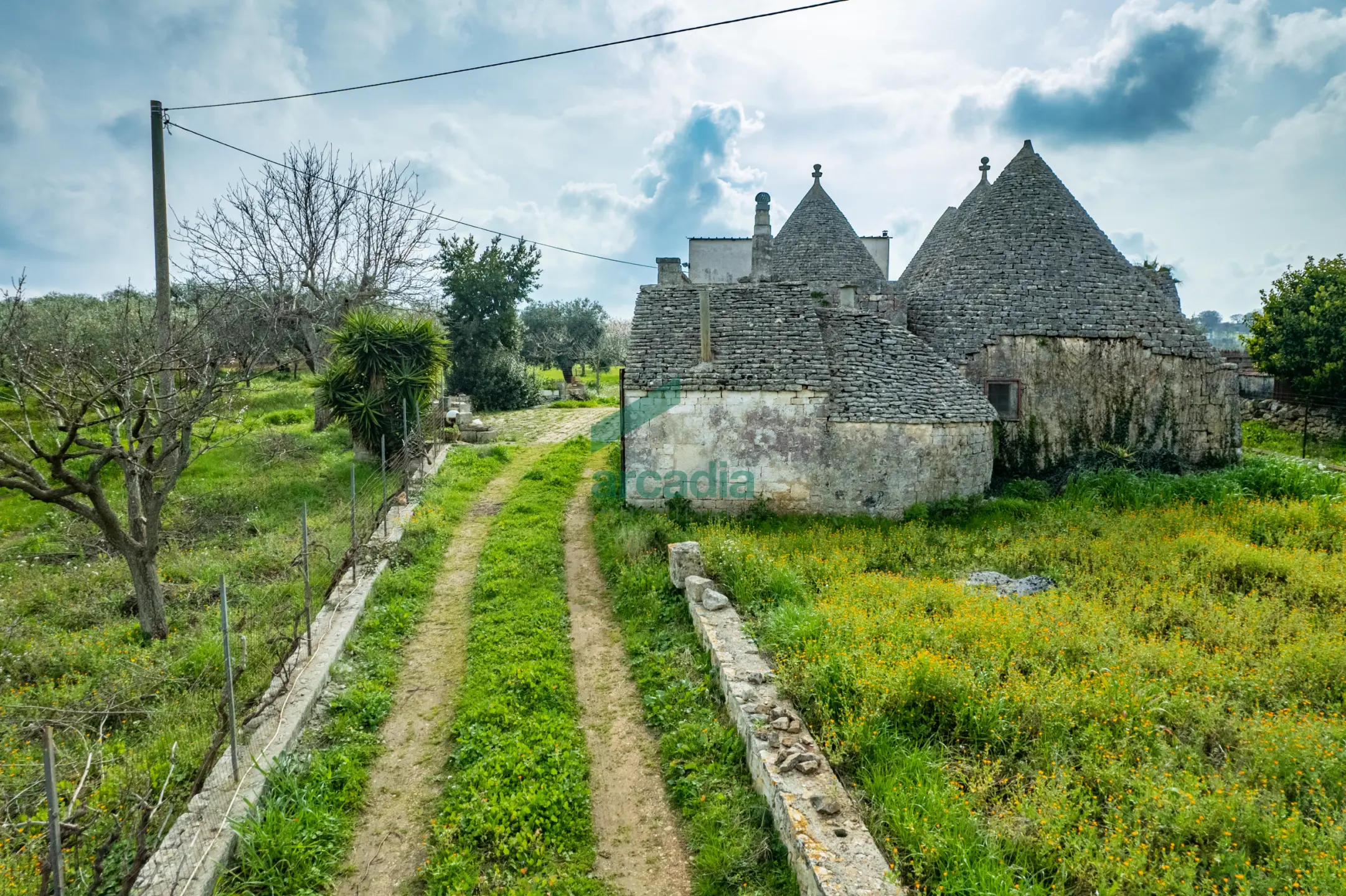 Immagine per Casale in vendita a Monopoli via Contrada Terranova