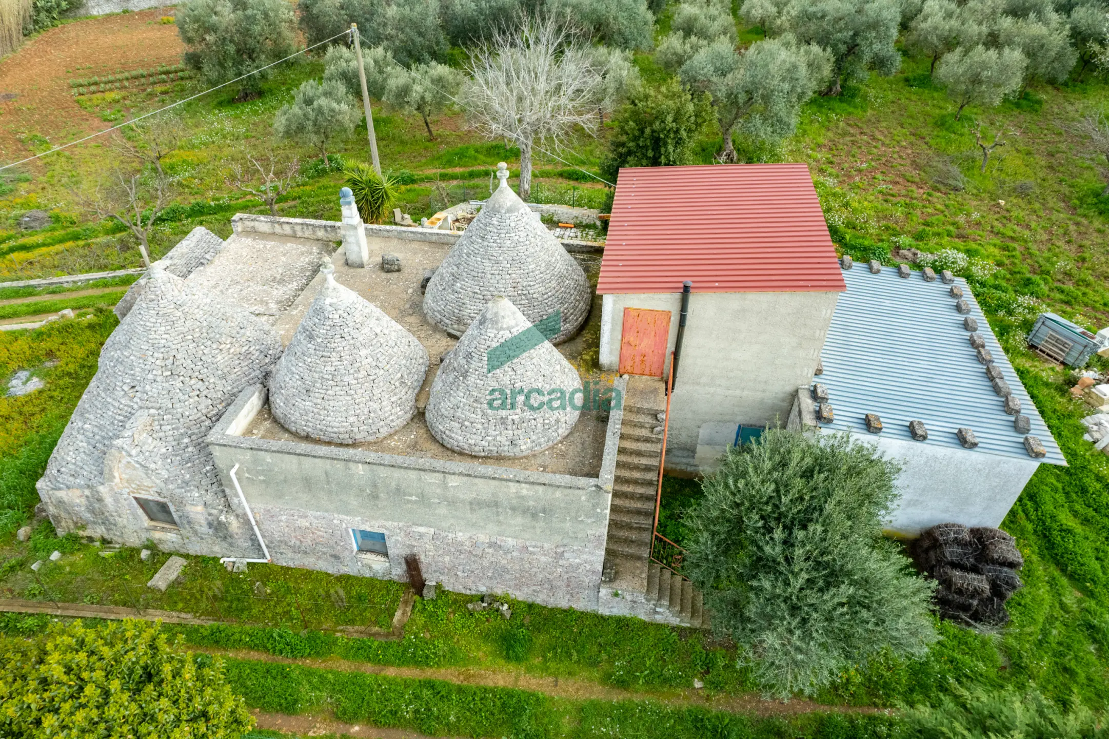 Immagine per Casale in vendita a Monopoli via Contrada Terranova