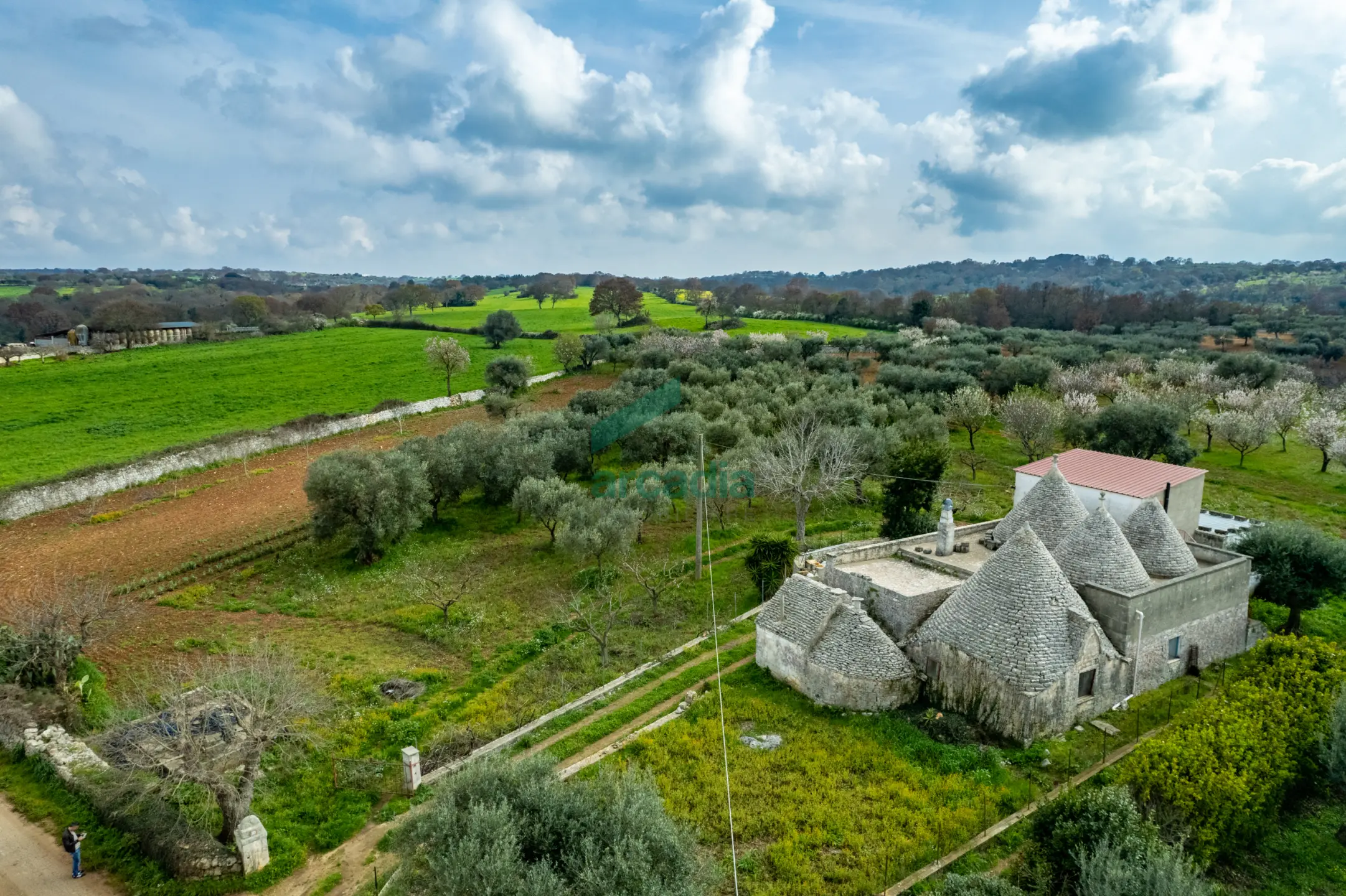 Immagine per Casale in vendita a Monopoli via Contrada Terranova