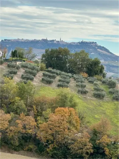 Casale via Menocchia 47, Carassai
