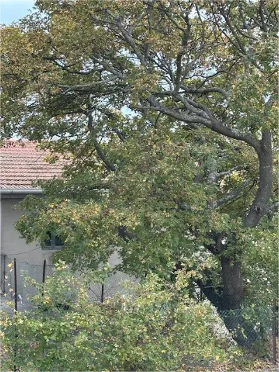 Casale via Menocchia 47, Carassai