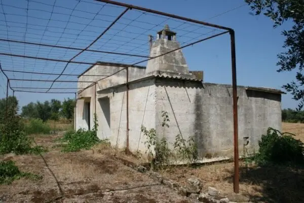 Agricolo via Contrada Mandrò, Cutrofiano