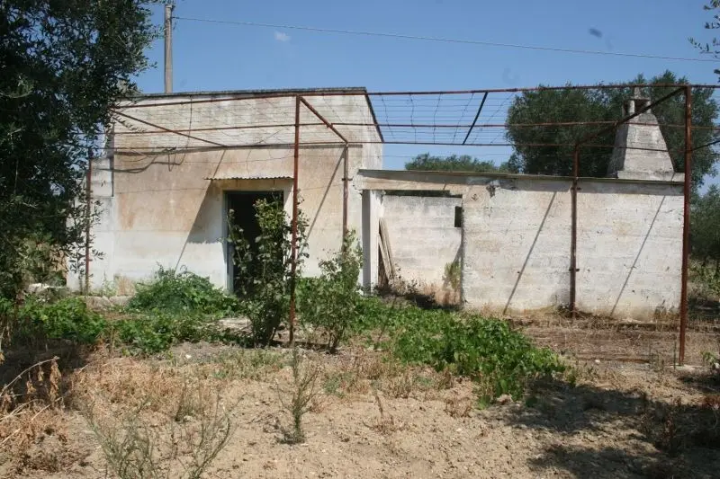 Immagine per Agricolo in affitto a Cutrofiano via Contrada Mandrò