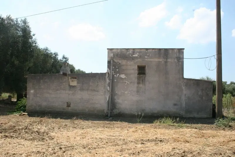 Immagine per Agricolo in affitto a Cutrofiano via Contrada Mandrò