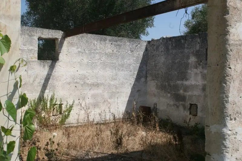 Immagine per Agricolo in affitto a Cutrofiano via Contrada Mandrò