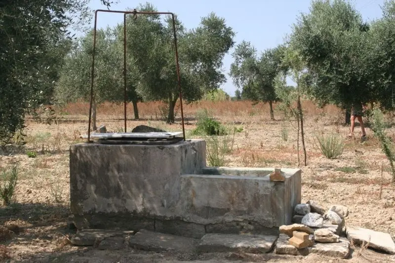 Immagine per Agricolo in affitto a Cutrofiano via Contrada Mandrò