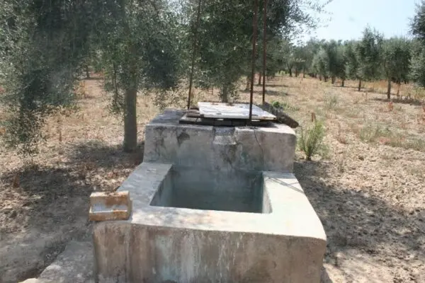 Agricolo via Contrada Mandrò, Cutrofiano