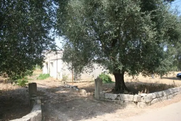 Agricolo via Contrada Mandrò, Cutrofiano