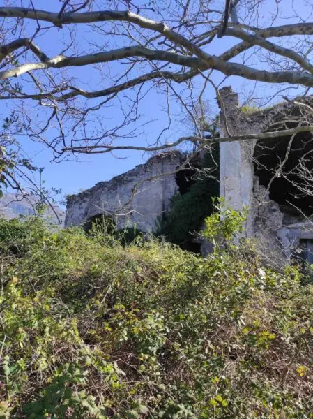 Palazzo - Stabile via Giuseppe De Stefano 20, Fisciano
