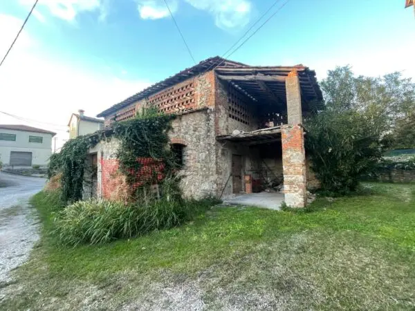 Rustico 664, Lucca