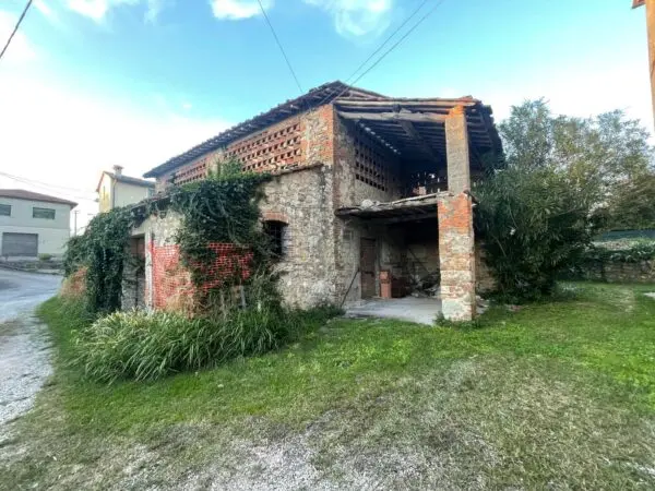 Rustico 664, Lucca