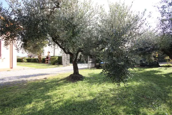 Villa Trifamiliare via Di Tiglio 611, Capannori