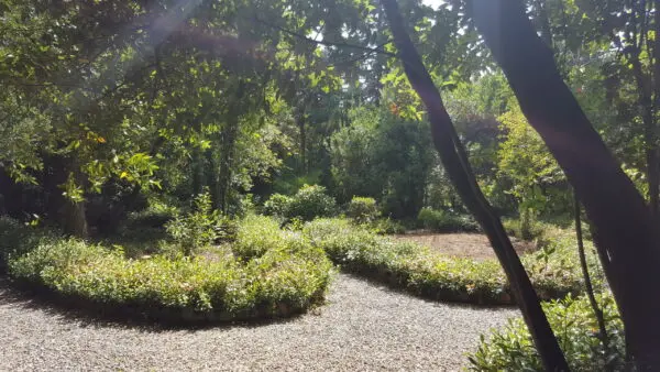 Villa via Di Casa Cimi, Lucca