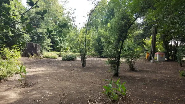 Villa via Di Casa Cimi, Lucca