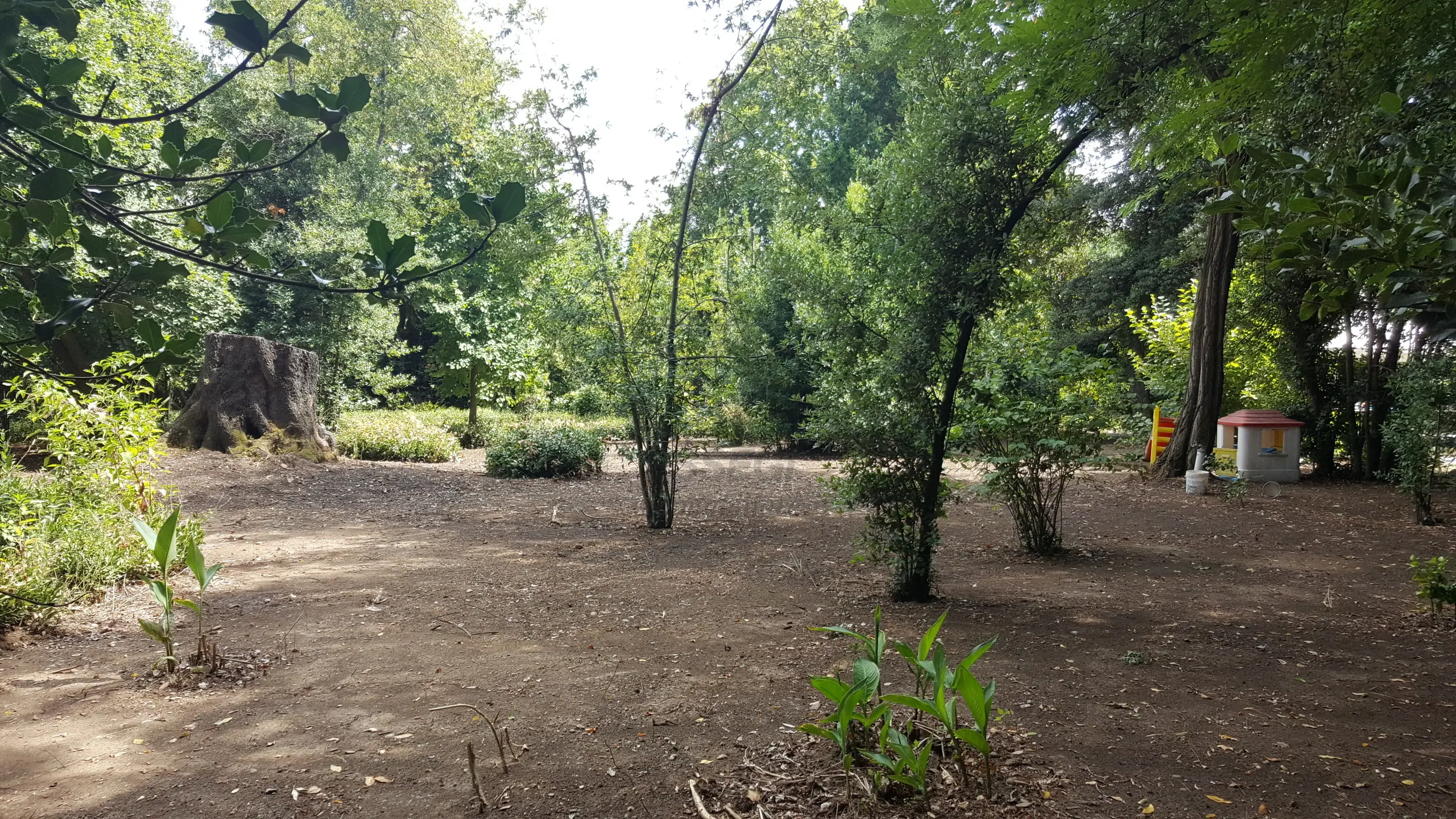 Immagine per Villa in vendita a Lucca via Di Casa Cimi