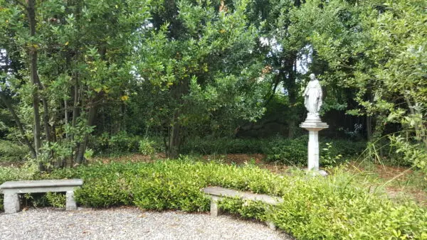 Villa via Di Casa Cimi, Lucca