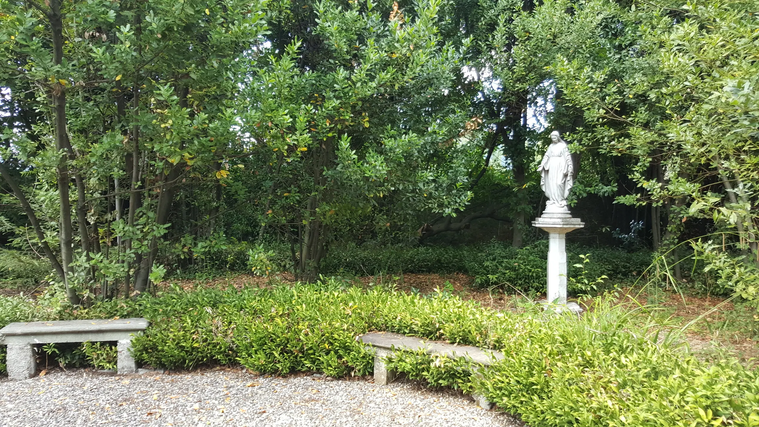 Immagine per Villa in vendita a Lucca via Di Casa Cimi