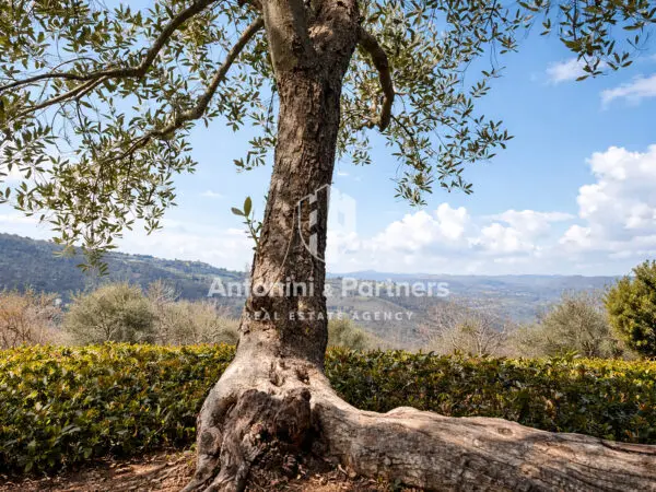 Terratetto via Frazione Izzalini, Todi