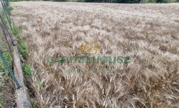 Terreno Agricolo via, San Marco Evangelista